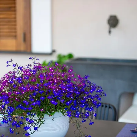 Casa Olimpo * Agerola